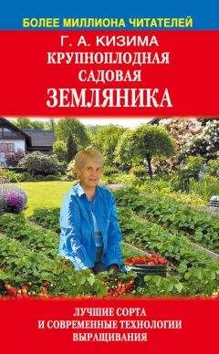 Галина Кизима - Крупноплодная садовая земляника. Лучшие сорта и современные технологии выращивания